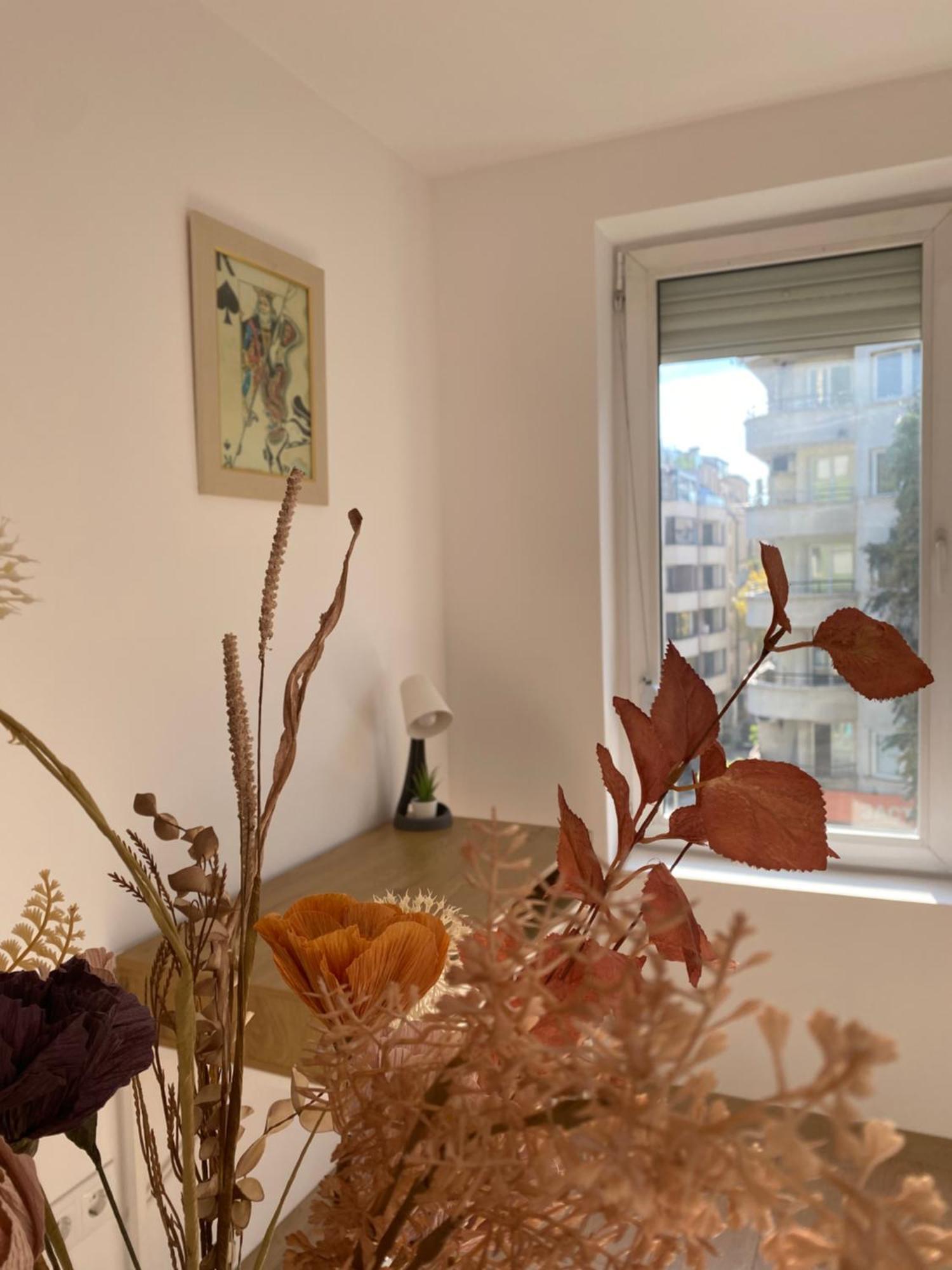 Sophie Studio - City Center Blagoevgrad Ngoại thất bức ảnh
